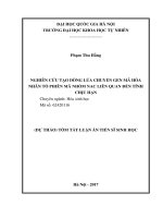 NGHIÊN cứu tạo DÒNG lúa CHUYỂN GEN mã hóa NHÂN tố PHIÊN mã NHÓM NAC LIÊN QUAN đến TÍNH CHỊU hạn TT 