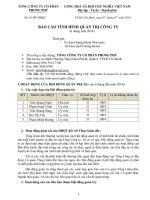 Báo cáo thường niên - www.phongphucorp.com