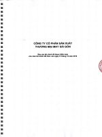 64 BCTC KIEM TOAN 2016 MAY SG