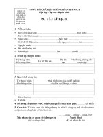 (7.1) Mẫu lý lịch, Đơn ứng cử, đề cử BKS 2015