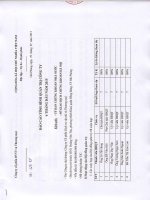 Báo cáo hoạt động quản trị Công ty 6 tháng đầu năm 2015|CÔNG TY CỔ PHẦN DỊCH VỤ VẬN TẢI VÀ THƯƠNG MẠI