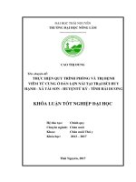 Thực hiện quy trình phòng và trị bệnh viêm tử cung ở đàn lợn nái nuôi tại trại bùi huy hạnh, xã tái sơn   huyện tứ kỳ   tỉnh hải dương