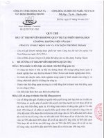 17.3.27.4. Quy che bau TV HDQT