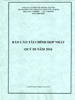 9 BCTC HOP NHAT QUY III 2016