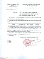 BCTC hop nhat quy 02 nam 2017