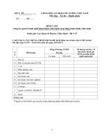 Công tác quản lý hành nghề khám bệnh, chữa bệnh; hoạt động khám bệnh, chữa bệnh (gửi kèm công văn số 1508 KCB-HN) - Cục quản lý khám chữa bệnh Mẫu BC 30.9