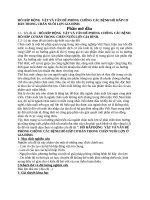 Nghiên cứu hô hấp và bệnh hô hấp ở lợn