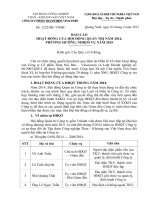 (4) Bao cao hoat dong cua HĐQT