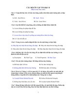 cau hoi on tap tin hoc b