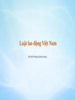 Thuyết trình môn pháp luật đại cương luật lao động việt nam 