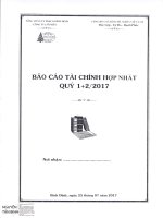 PIS. BCTC HOP NHAT QUY 2   2017
