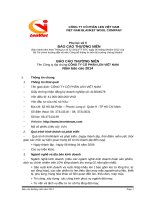 Lenviet.com.vn | Báo cáo thường niên 2014