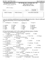 Đề thi học kỳ 2 môn Tiếng Anh lớp 8 trường THCS Thạnh Lộc, Kiên Giang năm học 2016 - 2017