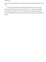 de kiem tra 1 tiet van lop 3 14934