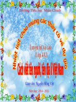 LTVC4   cach viet ten nguoi, ten dia li VN   vu hong viet 