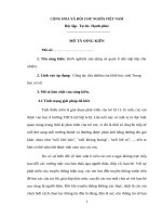 sáng kiến kinh nghiệm xây dựng và quản lí nền nếp lớp chủ nhiệm 