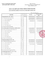 Bao cao ket qua hoat dong san xuat kinh doanh