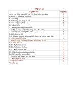 SKKN Kinh nghiệm trong việc dạy học, ôn thi THPT QG môn Ngữ văn theo hướng tiếp cận phát triển năng lực