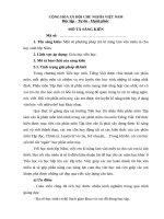 sáng kiến một số phương pháp rèn kĩ năng làm văn miêu tả cho học sinh lớp năm 