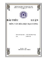 Văn hóa học đại cương:Thuyết cấu trúc