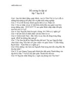 10 cau hoi de cuong on tap hki su 7 24226