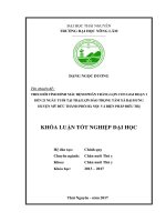 Theo dõi tình hình mắc bệnh phân trắng lợn con từ 01 đến 21 ngày tuổi tại trại lợn đào trọng tâm, xã đại hưng   huyện mỹ đức   thành phố hà nội và biện pháp điều trị 