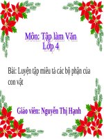 Luyện tập miêu tả các bộ phận của con vật   TLV 4 