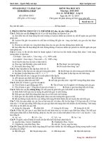 Đề kiểm tra học kì 1 môn Sinh học lớp 12 trường THPT Châu Thành 1, Đồng Tháp