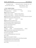 Đề thi giữa học kì 1 môn Sinh học lớp 10 trường THPT Ngọc Tảo, Hà Nội năm học 2016 - 2017