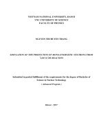 SIMULATION  OF THE PRODUCTION OF MONOENERGETIC NEUTRONS FROM 7LI(P,N)7BE REACTION