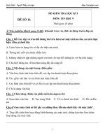 de thi hoc ky 1 mon tin hoc lop 9 de 16