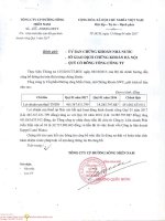 SWC Baocaotaichinh Q1 2017 Congtyme