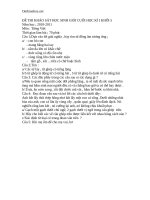 de thi hsg toan khoi 5 cuc hay 63024