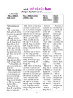 GIAO AN CA NAM TRON BO