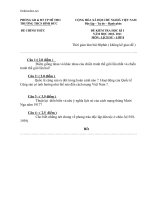 de kiem tra hki su lop 8 thcs binh duc 71186