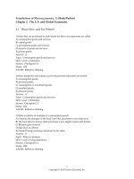 Foundations of economics 7th edition bade test bank 