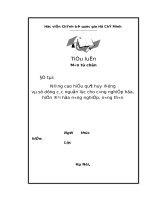 Tieu luan nang cao hieu qua huy dong va su dung cac nguon luc cho CNH HDH nong nghiep nong thon