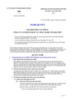 Nghi quyet DHCD thuong nien nam 2010