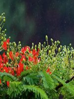 Bài 16. Thành phố Hải Phòng