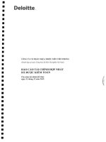 bao cao hop  nhat da kiem toan 2015