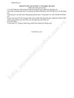 noi dung on tap lich su 11 2011 2012 39057