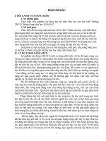 Sang kien kinh nghiem hoa hoc lop 8