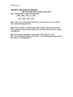 de thi chon hsg toan lop 5 th ha thuong 89434