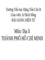 Thành phố hồ chí minh   địa lí 4 
