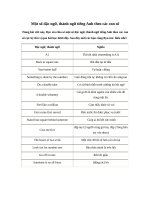 mot-so-dac-ngu-thanh-ngu-tieng-anh-theo-cac-con-so--Giảng viên Nguyễn Văn Nam 8.5 ielts