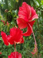 Luyện tập Trang 46