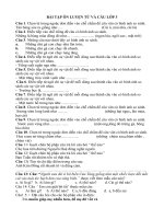 B i t p  n luy n t  v  c u  n h  l p 3