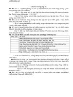 mot so cau hoi on tap su 11 ki 2 68087