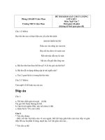 de thi giua ky mon ngu van lop 7 truong lam thao