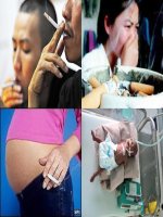 Bai 12 on dich thuoc la 1 